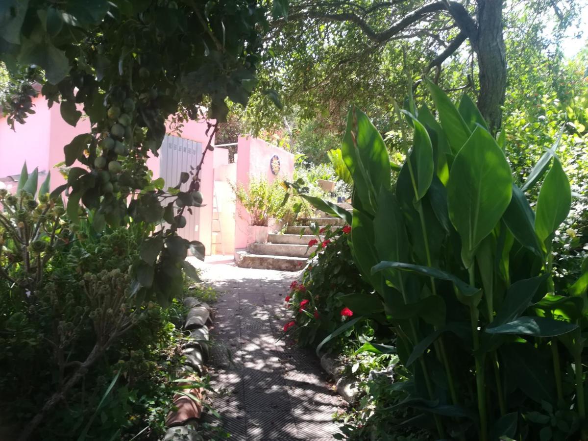 Affitta Camere Casa Delle Rose Villanova Monteleone Luaran gambar