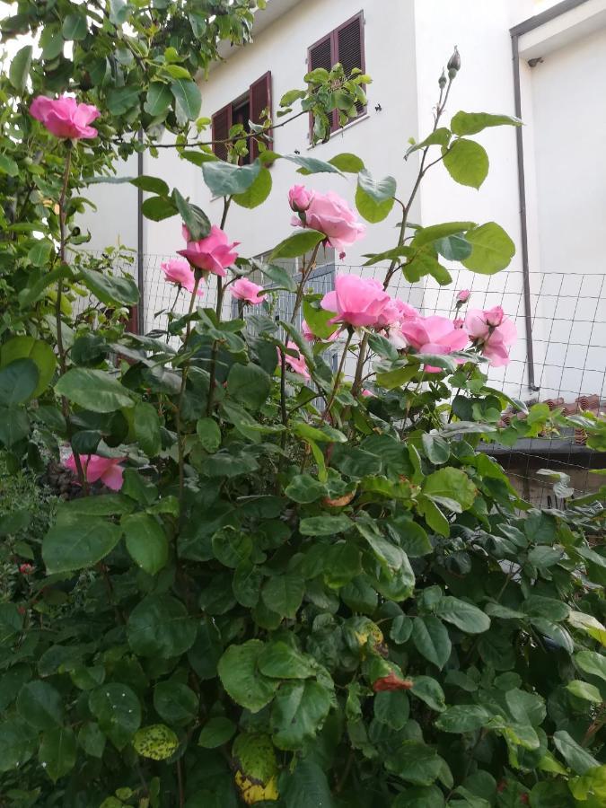 Affitta Camere Casa Delle Rose Villanova Monteleone Luaran gambar